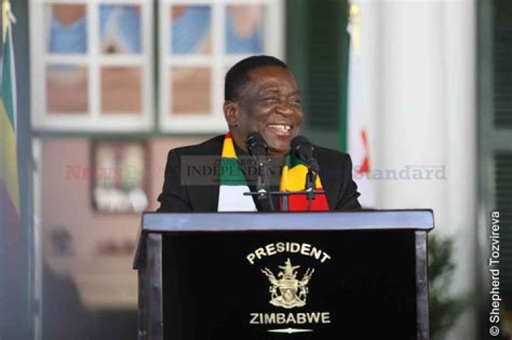 Emmerson Mnangagwa Jr.: The Rising Star of Zimbabwe