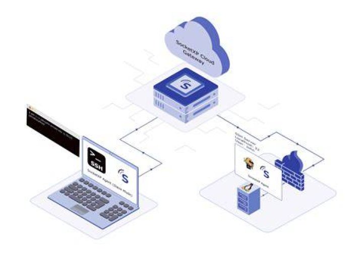 Secure IoT Access: SSH, Web Browser, & Remote Control Solutions